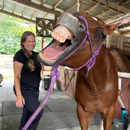 Horse Massage Relief Silly Horse Massage Relief Silly