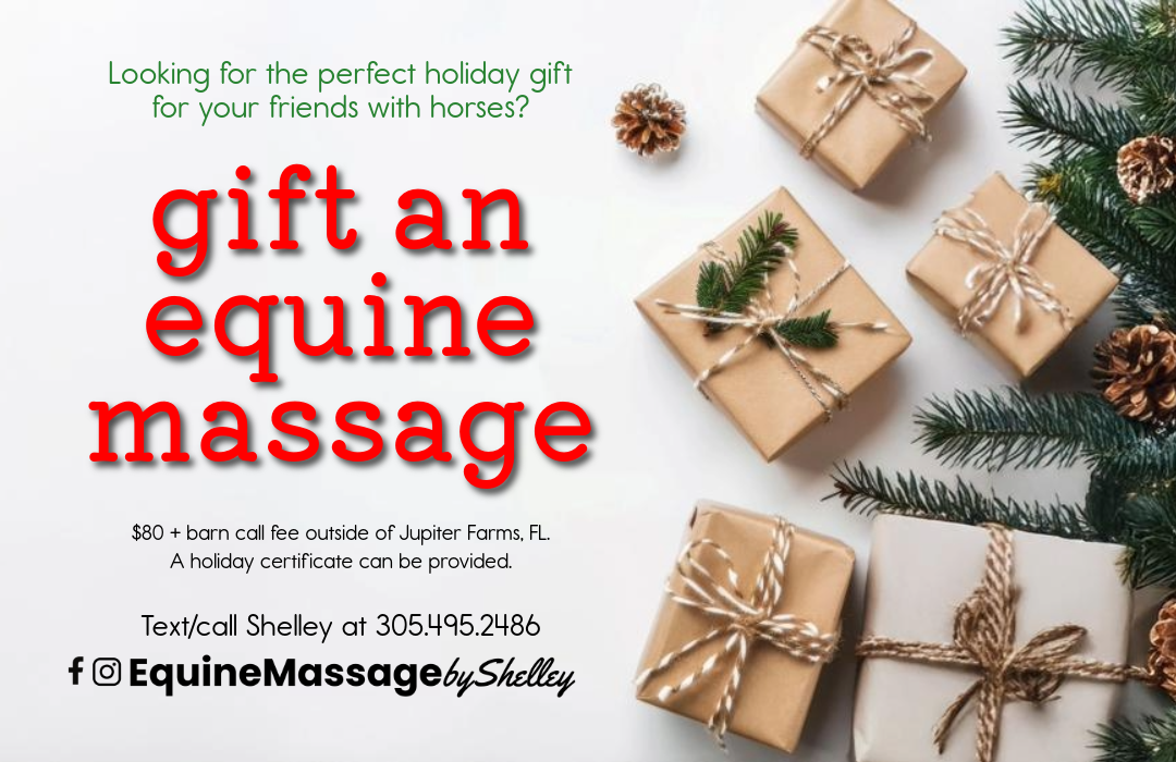 Gift an Equine Massage Promo Gift an Equine Massage Promo